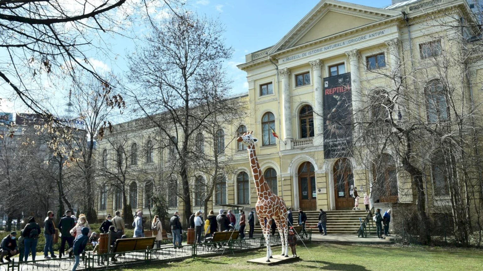 utsukushi sa la bucuresti muzeul antipa deschide noua expozitie fotografica japonia file din natura f09f96bcefb88f vernisajul este pe 11 septembrie intrarea e libera 68b986db010e6