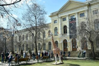 utsukushi sa la bucuresti muzeul antipa deschide noua expozitie fotografica japonia file din natura f09f96bcefb88f vernisajul este pe 11 septembrie intrarea e libera 68b986db010e6