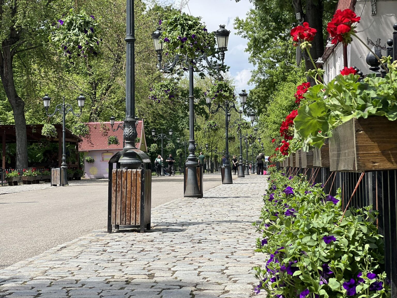 vesti proaste pentru bucuresteni amenzile pentru distrugerea spatiilor verzi ar putea creste de pana la 50 de ori 68c4e11db833f