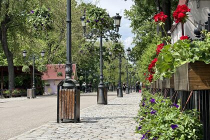 vesti proaste pentru bucuresteni amenzile pentru distrugerea spatiilor verzi ar putea creste de pana la 50 de ori 68c4e11db833f