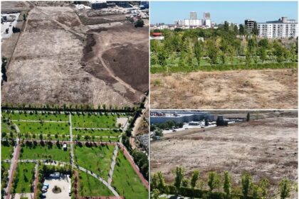 video dl baluta misteriosul pregatim o surpriza langa parcul tudor arghezi suspansul din metalurgiei tine pana joi cand misterul va fi risipit la o conferinta de presa 68d3ff487199a