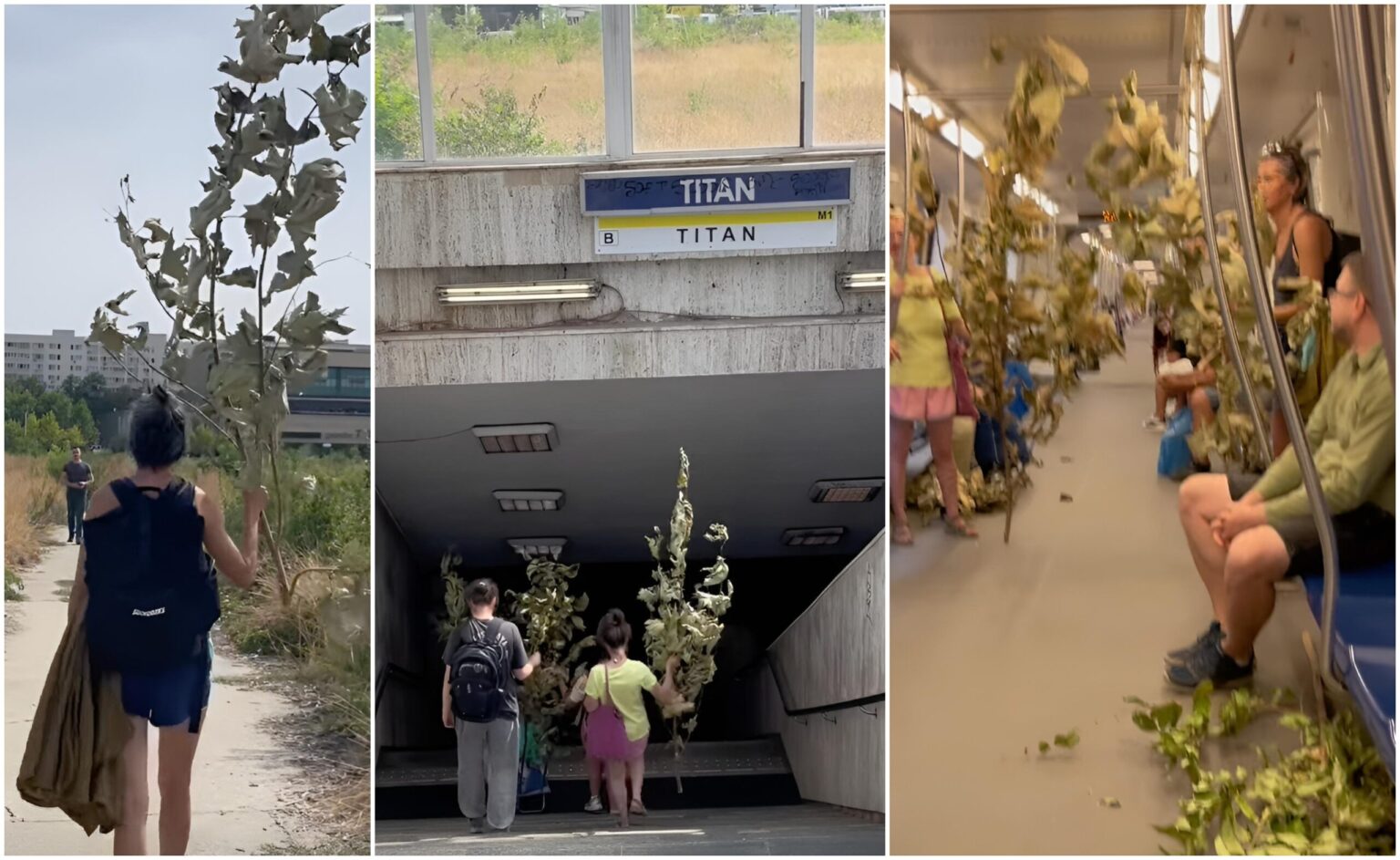 video f09f8cb3paduricea din metrouf09f8cb3copacii abia taiati din parcul ior dusi la pmb sa si ceara drepturile primaria ne a zis ca s prea mici pentru amenzi 68c3cc15a2c7f
