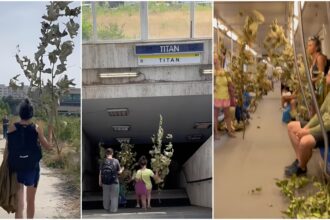 video f09f8cb3paduricea din metrouf09f8cb3copacii abia taiati din parcul ior dusi la pmb sa si ceara drepturile primaria ne a zis ca s prea mici pentru amenzi 68c3cc15a2c7f