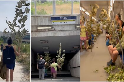 video f09f8cb3paduricea din metrouf09f8cb3copacii abia taiati din parcul ior dusi la pmb sa si ceara drepturile primaria ne a zis ca s prea mici pentru amenzi 68c3cc15a2c7f