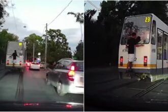 video gest periculos al unui pusti in traficul din bucuresti el s a plimbat pe spatele unui tramvai stb cu indicativul 23 68cfb548ec761
