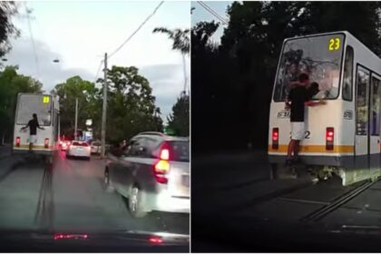 video gest periculos al unui pusti in traficul din bucuresti el s a plimbat pe spatele unui tramvai stb cu indicativul 23 68cfb548ec761