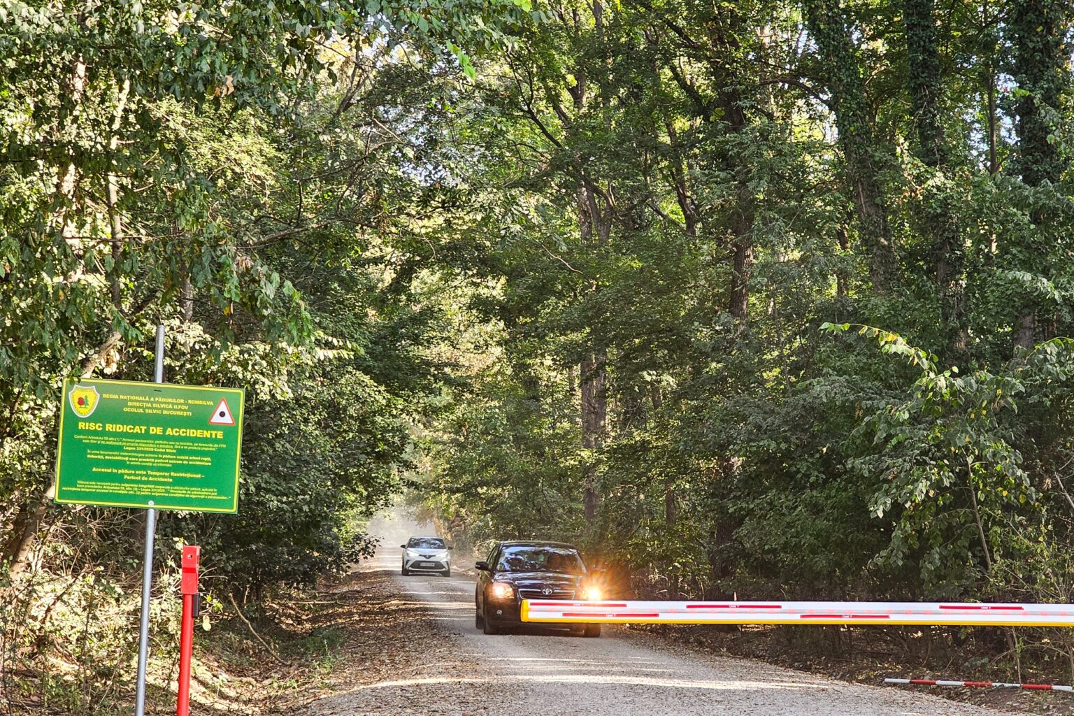 video pe aici nu se trece impreuna pentru centura verde cere ministrei mediului sa opreasca traficul din padurea baneasa bucurestean au distrus linistea 68b9c21cc1057