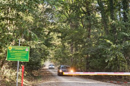 video pe aici nu se trece impreuna pentru centura verde cere ministrei mediului sa opreasca traficul din padurea baneasa bucurestean au distrus linistea 68b9c21cc1057