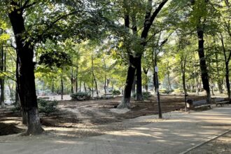 video petitie impotriva privatizarii parcului kiseleff semnata deja de sute de bucuresteni va fi ingropat in tiribombe si va fi efectiv inchis publicului pentru 4 luni 68b59d9e37e40