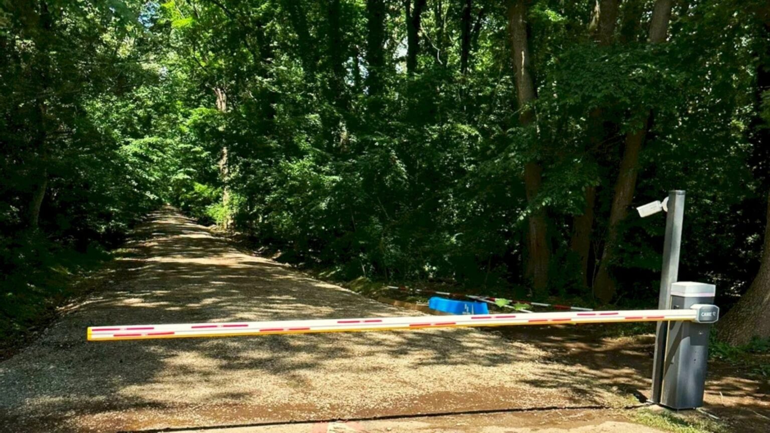 video scandal monstru in padurea baneasa o mama cu 2 copii oprita din drumul spre un loc de joaca pe motiv ca nu are voie sa treca pe acolo pe unde masinile zburda 68d1321d27263