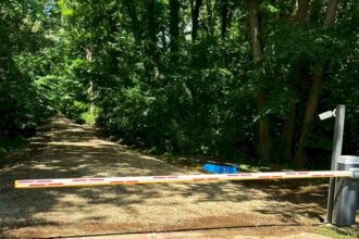 video scandal monstru in padurea baneasa o mama cu 2 copii oprita din drumul spre un loc de joaca pe motiv ca nu are voie sa treca pe acolo pe unde masinile zburda 68d1321d27263