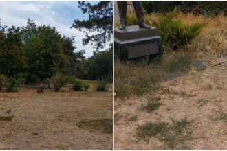 video strigat de ajutor pentru parcul circului distrus si abandonat bucuresteanca iubesc acest loc si chiar nu vreau sa moara 68b58e61c31f3