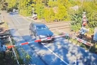 video un sofer a spulberat barierele de cale ferata din satul pasarea la doi pasi de bucuresti peste 100 de astfel de accidente s au produs anul trecut 68bedb90dc61b