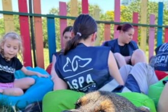 25 de catei pot fi adoptati sambata la un nou targ organizat de aspa in parcarea hornbach balotesti 68fc610cb050a