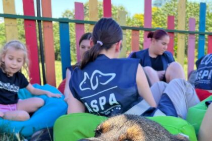 25 de catei pot fi adoptati sambata la un nou targ organizat de aspa in parcarea hornbach balotesti 68fc610cb050a