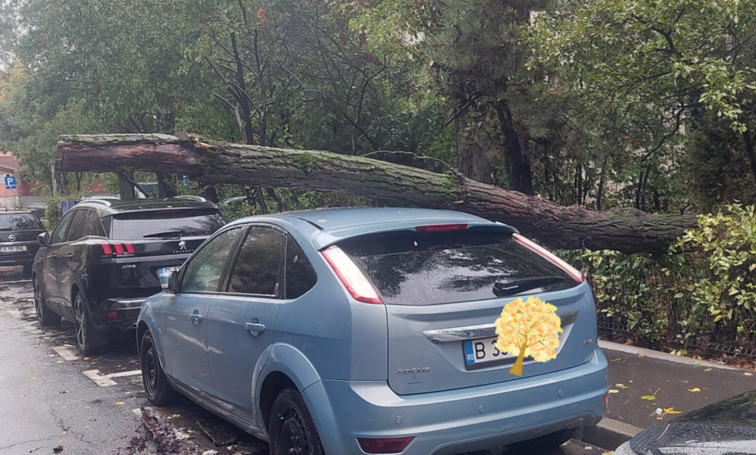 alti copaci cazuti pe sosele si prin parcari in bucuresti si zona metropolitana masini strivite si linii stb blocate in diverse locuri din oras 68e6389b664bf