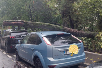 alti copaci cazuti pe sosele si prin parcari in bucuresti si zona metropolitana masini strivite si linii stb blocate in diverse locuri din oras 68e6389b664bf