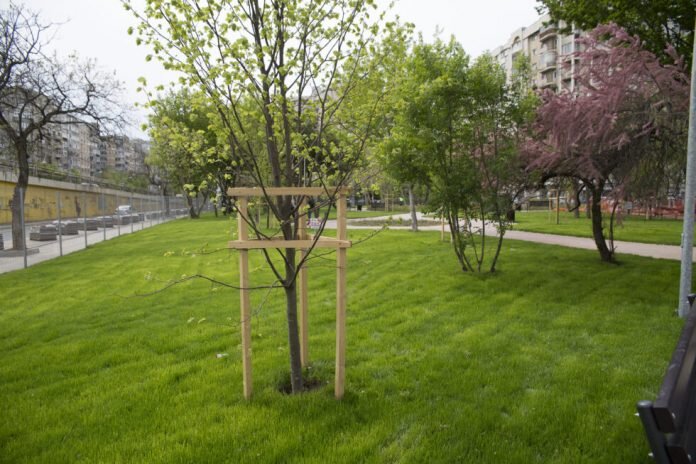 amenzi mai mari pentru distrugerea spatiilor verzi din capitala 69038d5c63c50