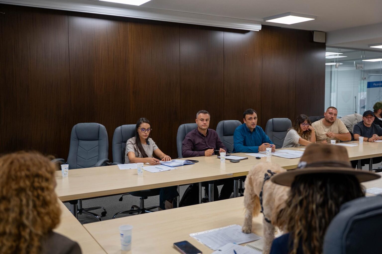 angajatii cj ilfov incep sa aplice avertismente si sanctiuni pentru nesterilizarea si nemicrociparea cainilor 68dd42ab71c3c