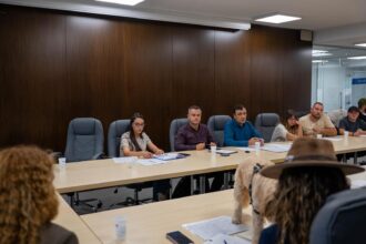 angajatii cj ilfov incep sa aplice avertismente si sanctiuni pentru nesterilizarea si nemicrociparea cainilor 68dd42ab71c3c