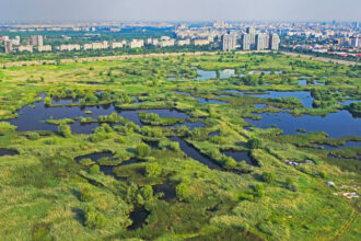 apa de ploaie va fi refolosita pentru refacerea zonelor umede din parcul natural vacaresti si parcul lumea copiilor 68efcf0825c7d