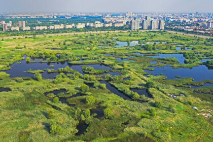 apa de ploaie va fi refolosita pentru refacerea zonelor umede din parcul natural vacaresti si parcul lumea copiilor 68efcf0825c7d