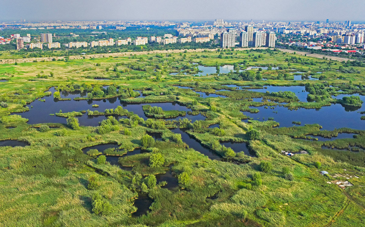 apa de ploaie va fi refolosita pentru refacerea zonelor umede din parcul natural vacaresti si parcul lumea copiilor 68efcf0825c7d