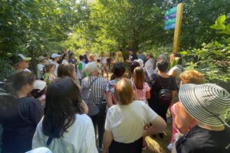 asistenta sociala bucuresti solicita finantare europeana pentru ingrijirea la domiciliu a persoanelor varstnice vulnerabile 68dd3b9185f21