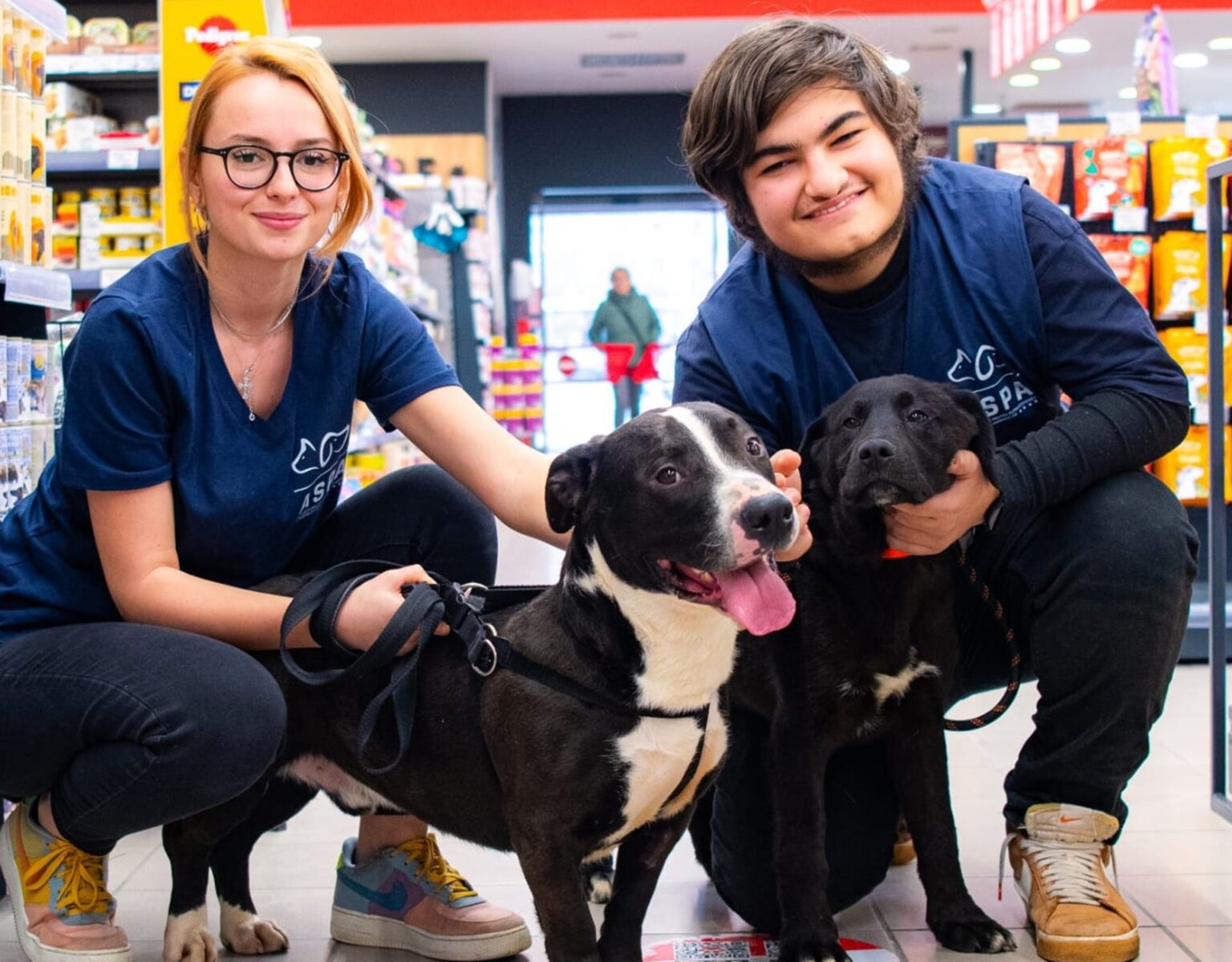 aspa organizeaza primul targ de adoptii indoor din aceasta toamna f09f90b6 catelusii care iti cauta familii vor fi ne asteapta la maxi pet mihai bravu 6900937c41554