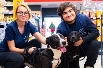 aspa organizeaza primul targ de adoptii indoor din aceasta toamna f09f90b6 catelusii care iti cauta familii vor fi ne asteapta la maxi pet mihai bravu 6900937c41554