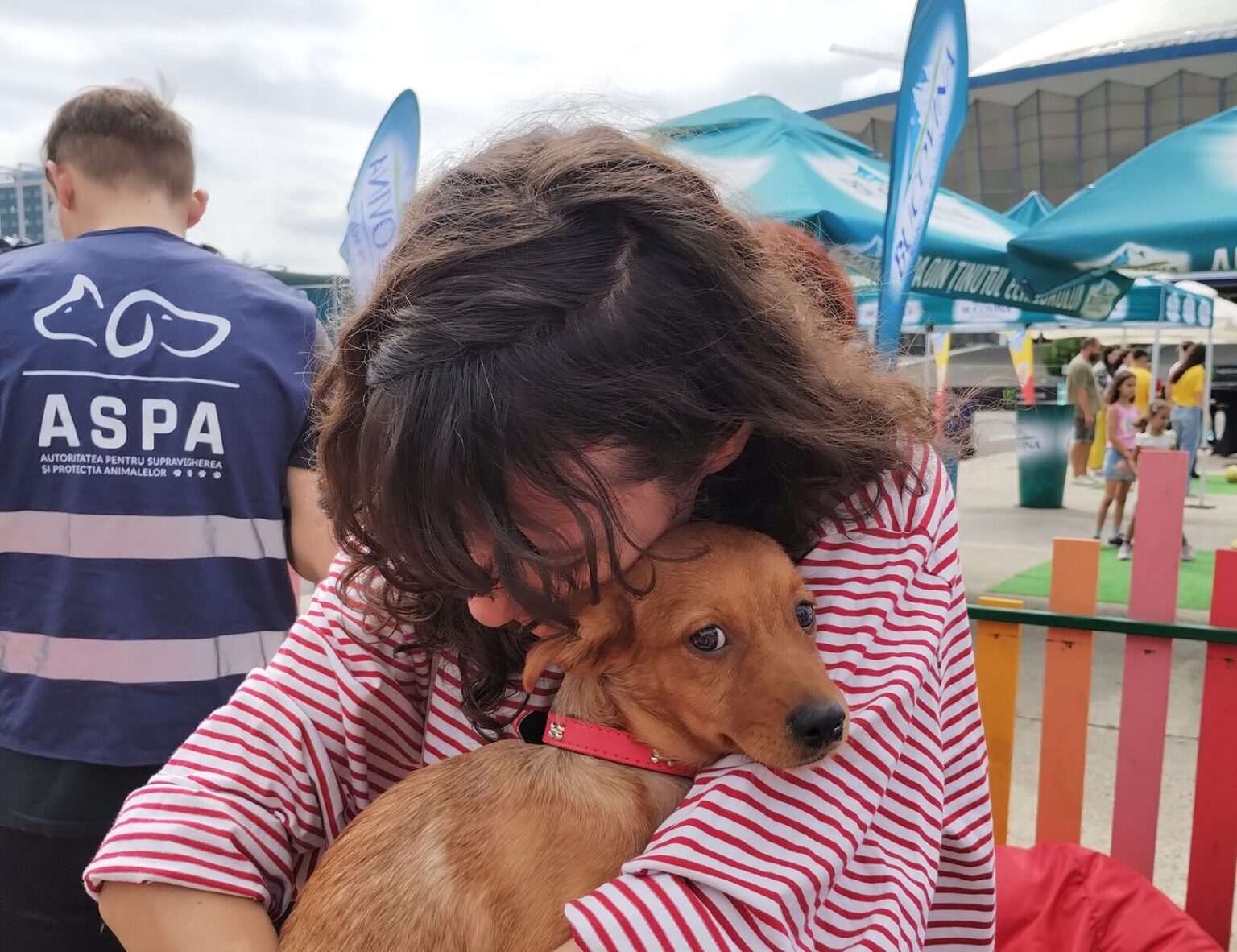 aspa organizeaza un targ de adoptii 37 de catei si 20 de pisici isi cauta familii pe 5 octombrie la kaufland barbu vacarescu 68dfc5f3de5ea