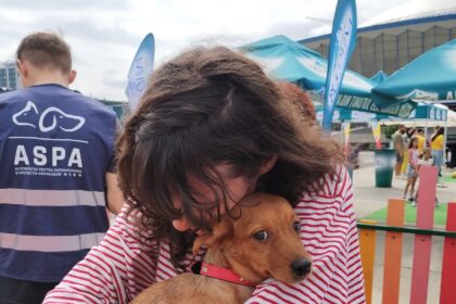 aspa organizeaza un targ de adoptii 37 de catei si 20 de pisici isi cauta familii pe 5 octombrie la kaufland barbu vacarescu 68dfc5f3de5ea