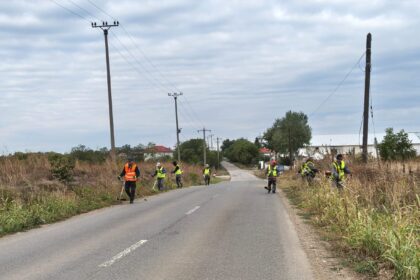 bilantul actiunii de cosire a ambroziei pe drumurile judetene din ilfov 68e3616096ee9 1