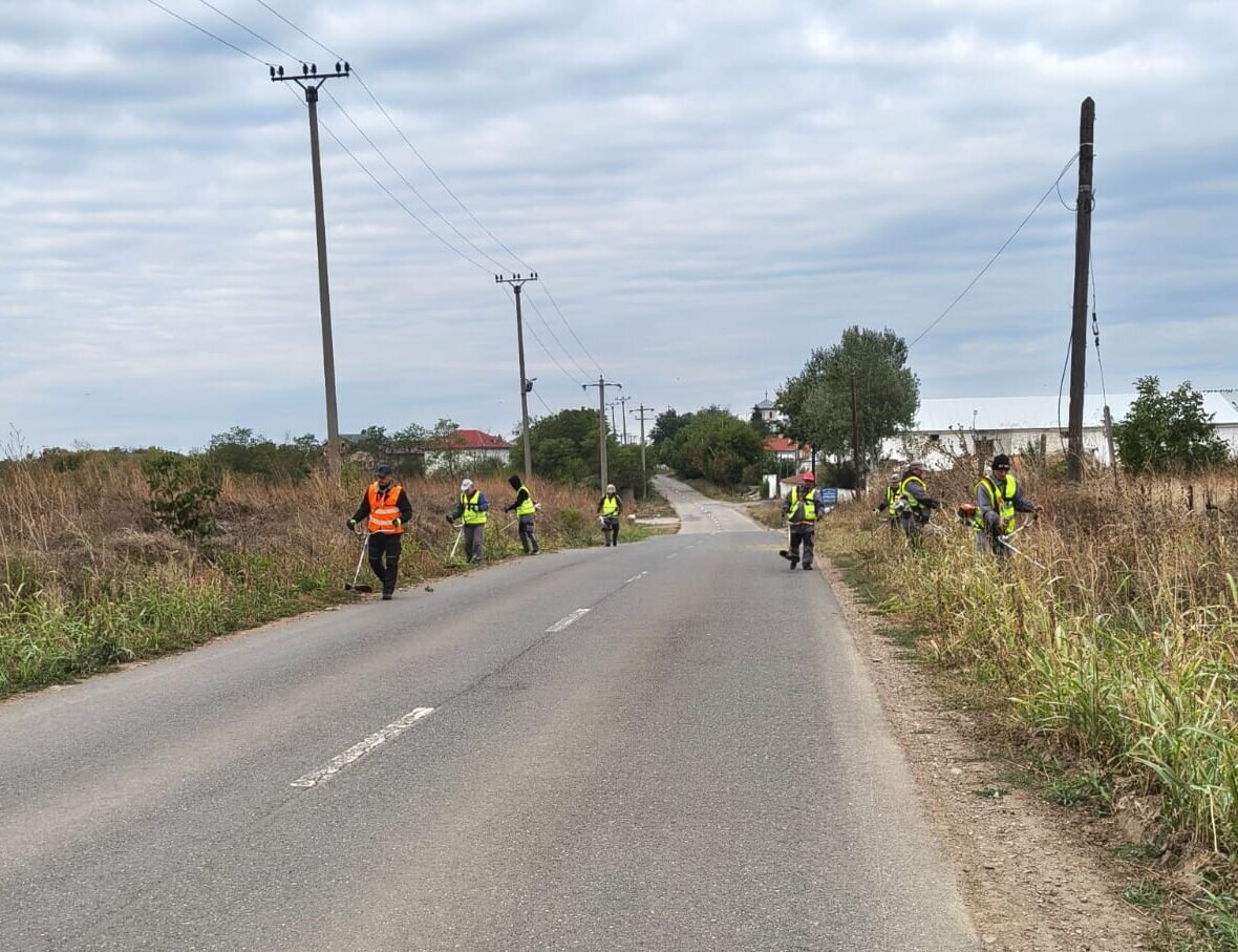 bilantul actiunii de cosire a ambroziei pe drumurile judetene din ilfov 68e3616096ee9 1