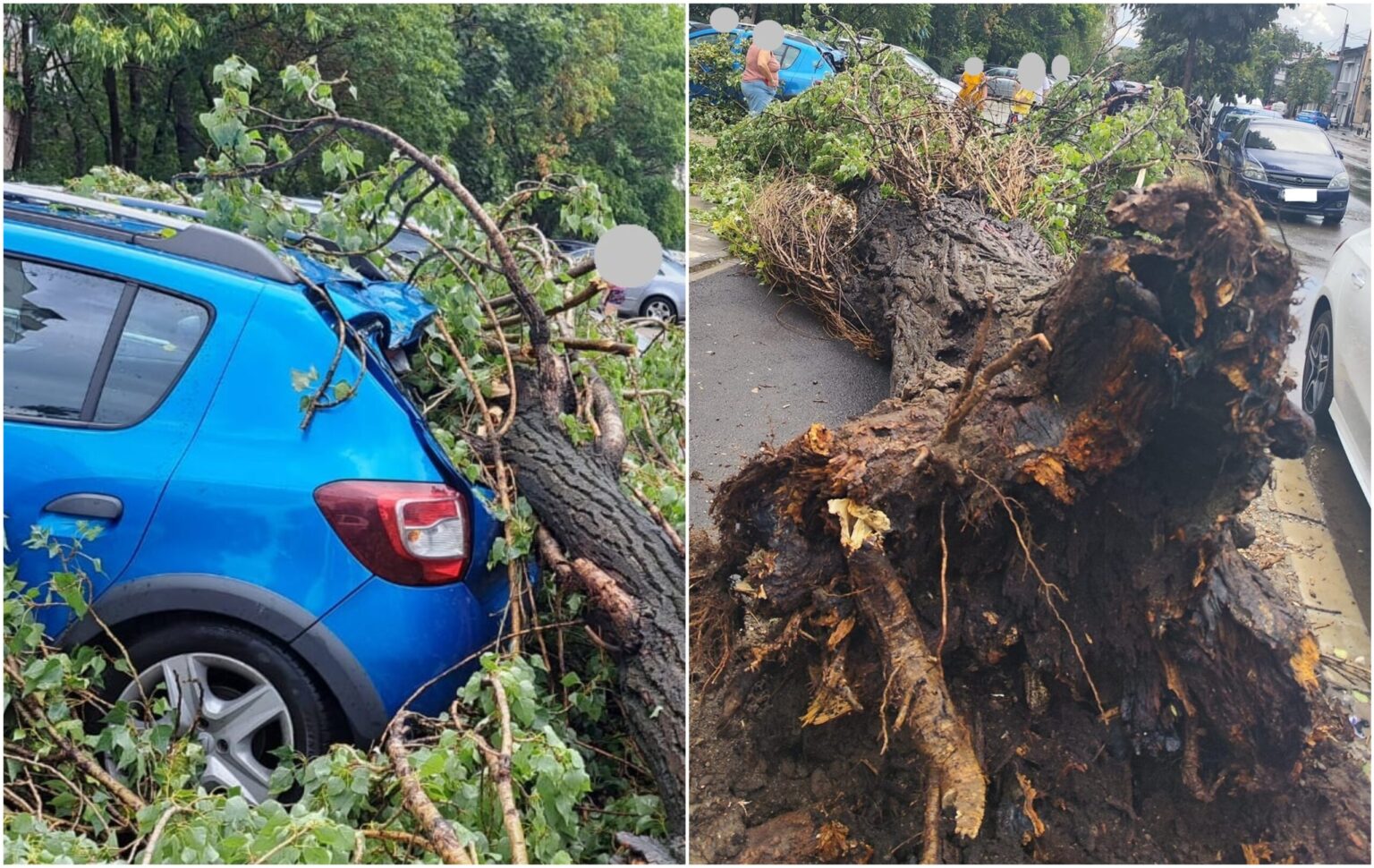 bucurestenii din s2 cu masini avariate de copaci sau de gheata cazuta de pe cladirile administrate de primarie vor fi despagubiti doua conditii sunt necesare 68dcc81c8a122