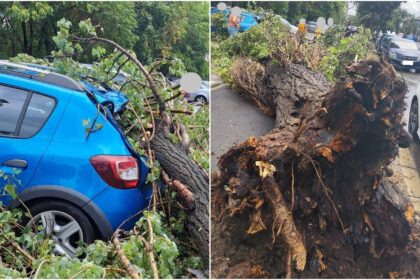 bucurestenii din s2 cu masini avariate de copaci sau de gheata cazuta de pe cladirile administrate de primarie vor fi despagubiti doua conditii sunt necesare 68dcc81c8a122