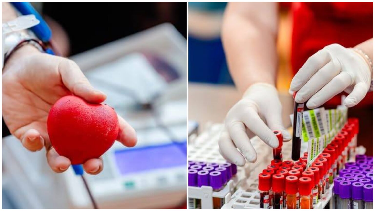 bucurestenii pot dona din nou sange vinerea viitoare la pmb cei care vor sa faca asta trebuie sa completeze un formular 68e3dc5a3083a