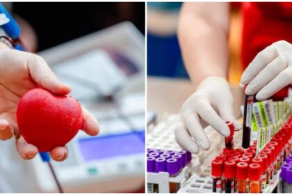 bucurestenii pot dona din nou sange vinerea viitoare la pmb cei care vor sa faca asta trebuie sa completeze un formular 68e3dc5a3083a