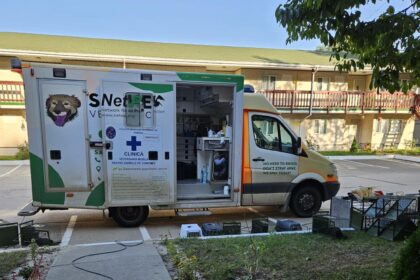 bucurestiul exemplu de bune practici in gestionarea pisicilor comunitare aspa si asociatia sache vet prezinta modelul tnr la animal summit romania 68ea3f2c1d298