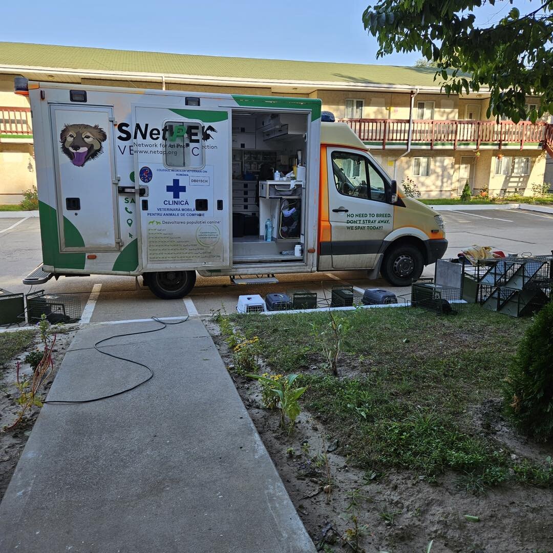 bucurestiul exemplu de bune practici in gestionarea pisicilor comunitare aspa si asociatia sache vet prezinta modelul tnr la animal summit romania 68ea3f2c1d298