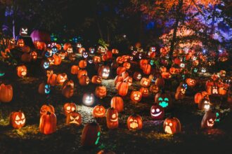 cel mai mare zid de dovleci de halloween se construieste la bucuresti f09f8e83 30 000 vor fi aprinsi la pumpkinfest din parcul copiilor in acest weekend 6904c1713e771
