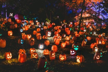 cel mai mare zid de dovleci de halloween se construieste la bucuresti f09f8e83 30 000 vor fi aprinsi la pumpkinfest din parcul copiilor in acest weekend 6904c1713e771