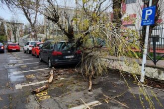 codul portocaliu de vant a facut prapad in bucuresti si ilfov 36 de interventii ale isu copaci cazuti cabluri afectate 23 de masini distruse 68df51f7e2c50