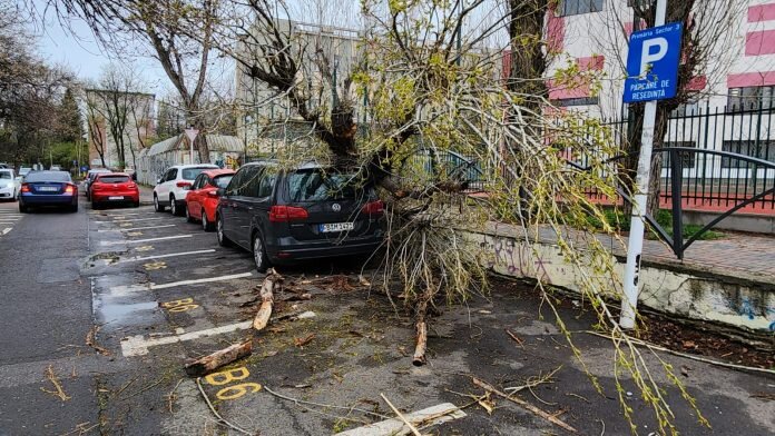 codul portocaliu de vant a facut prapad in bucuresti si ilfov 36 de interventii ale isu copaci cazuti cabluri afectate 23 de masini distruse 68df51f7e2c50