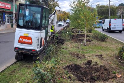 curatenie de toamna in sectorul 1 in cartierul bucurestii noi 68f07575180bb