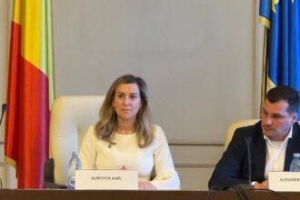 dumitrita albu deputat neafiliat non violenta incepe cu modul in care alegem sa folosim cuvantul 68de6e93b825b 1