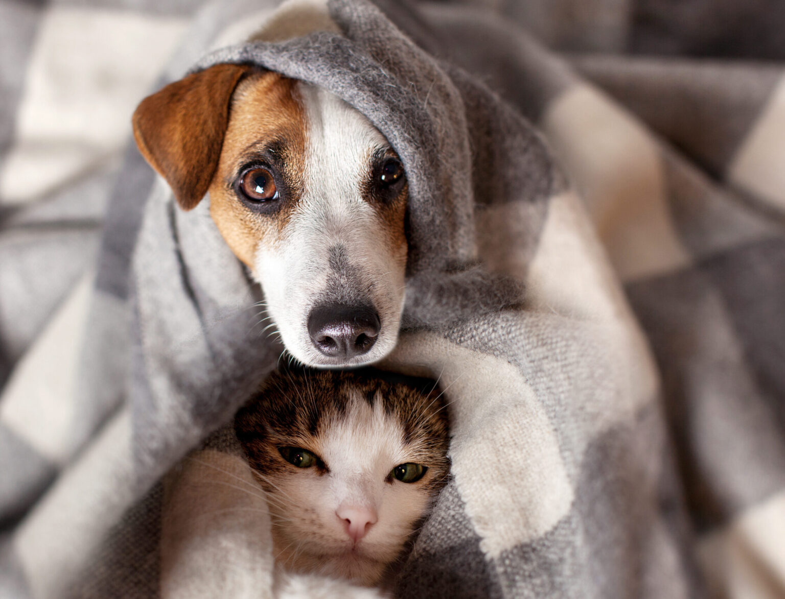 esential cand porneste caldura in caloriferele orasului in care se dardaie peste media anotimpului si afara si in case planurile termoenergetica 68df7b0e280a1