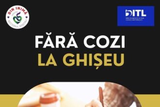 fara cozi la ghiseu primaria sectorului 5 lanseaza programarile online la directia de taxe si impozite locale 68ef991fbab4c