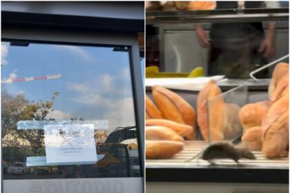 foto anpc a inchis brutaria de pe bd basarabia dupa ce un sobolan a fost filmat cum se plimba in voie printre rafturi au fost date amenzi de 12 000 de lei 68fba2af2b052