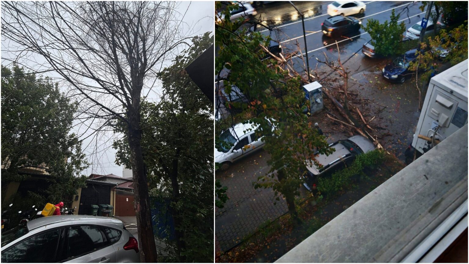 foto bucuresteni furiosi in ziua in care 80 de copaci au cazut peste tot prin oras fac sesizari de jumatate de an nu se intampla nimic asteptati sa cada peste oameni 68dfc1d95f435